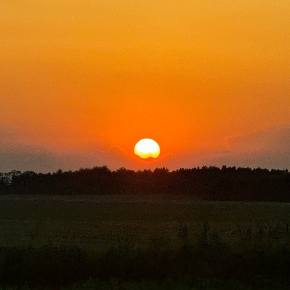 Meet your Posher, Alejandra - Picture 1 of 1